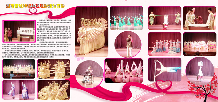 湖南abpay爱博钱包官网赞助燕赵·恒爱残疾人艺术团圆满演出