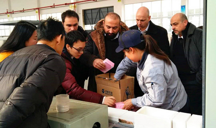 abpay爱博钱包官网 - 极致清静