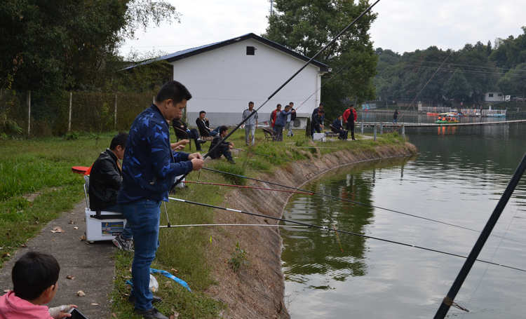 abpay爱博钱包官网 - 极致清静